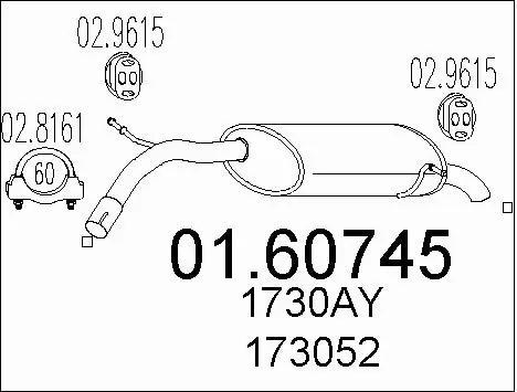 Rear Muffler (01.60745)