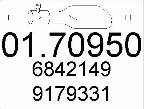Exhaust Pipe (01.70950)