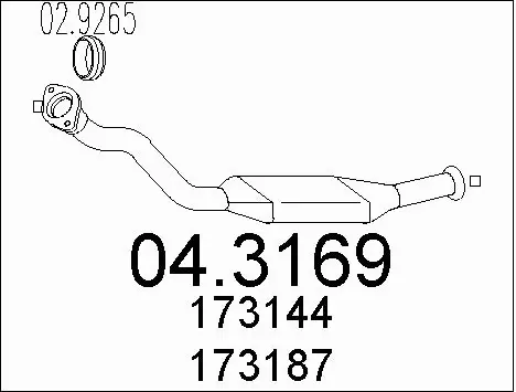 Catalytic Converter (04.3169)