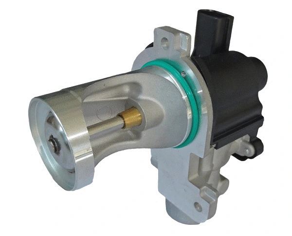 EGR Valve (AGR0309)