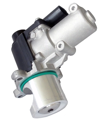 EGR Valve (AGR0304)