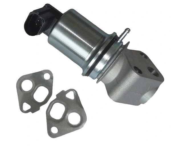 EGR Valve (AGR0307)