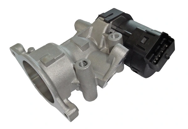 EGR Valve (AGR1301)
