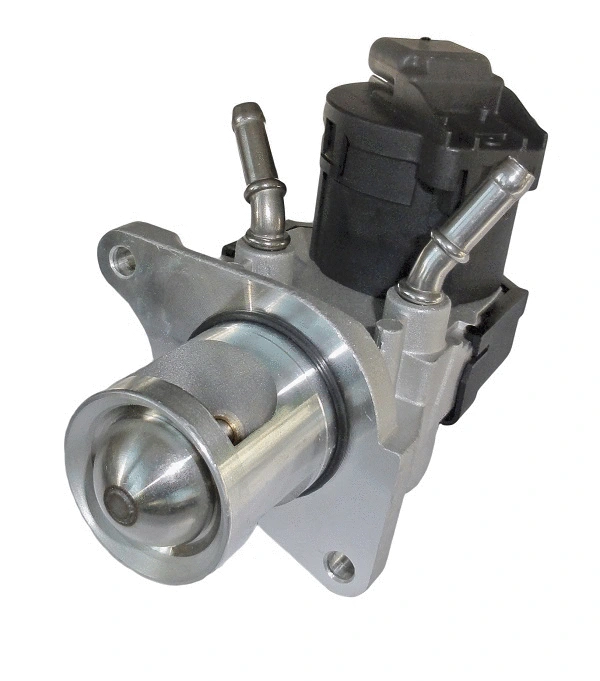 EGR Valve (AGR0904)