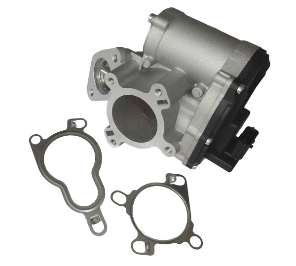 EGR Valve (AGR1505)