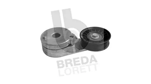 Tensioner Lever, V-ribbed belt (TOA3958)