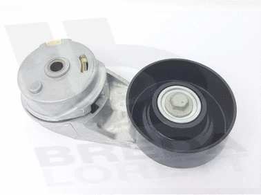 Tensioner Lever, V-ribbed belt (TOA4042)