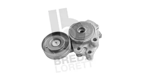 Tensioner Lever, V-ribbed belt (TOA3940)