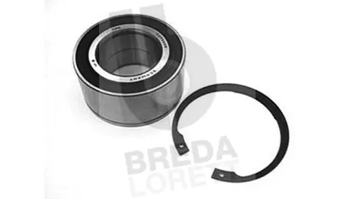 Wheel Bearing Kit (KRT2519)