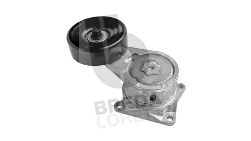 Tensioner Lever, V-ribbed belt (TOA5294)