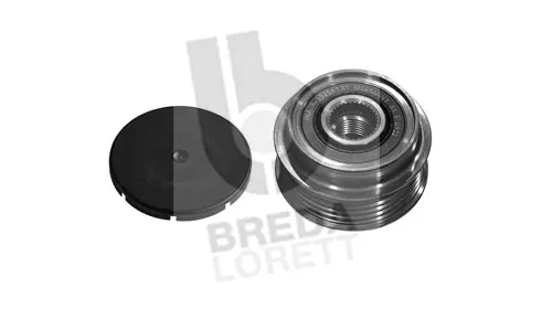 Alternator Freewheel Clutch (RLA5317)
