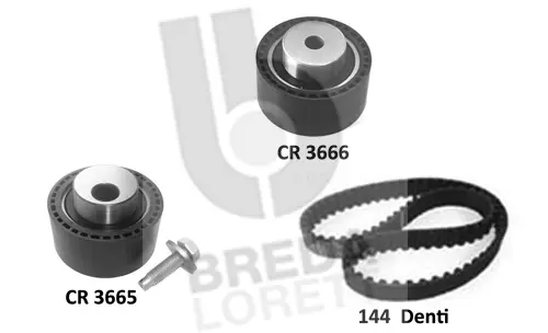 Timing Belt Kit (KCD0787)