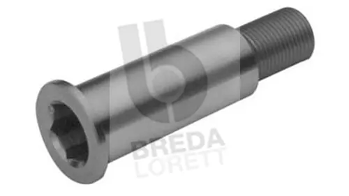 Bearing Journal, tensioner pulley lever (TOA3074)