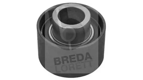 Deflection/Guide Pulley, timing belt (TDI5019)