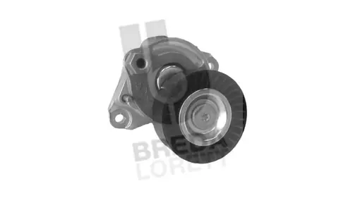 Tensioner Lever, V-ribbed belt (TOA3873)