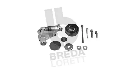 Tensioner Lever, V-ribbed belt (TOA3949)