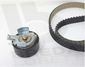 Timing Belt Kit (KCD0814)