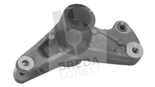 Tensioner Lever, V-ribbed belt (TOA3070)