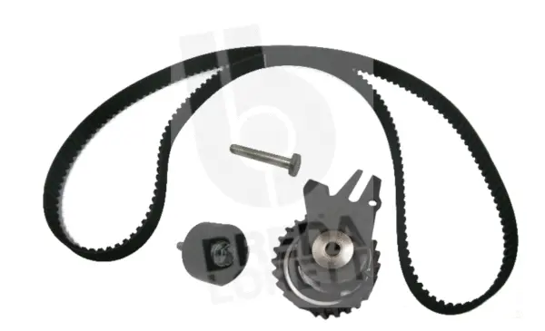 Timing Belt Kit (KCD0009)
