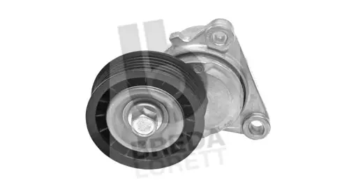 Tensioner Lever, V-ribbed belt (TOA3970)