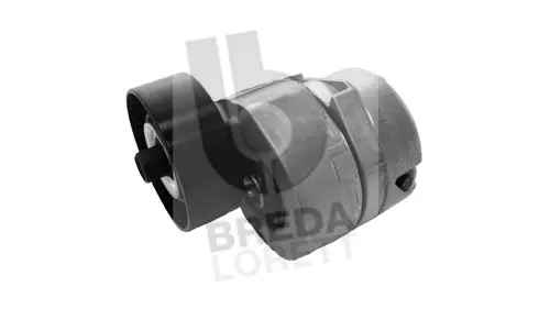 Tensioner Lever, V-ribbed belt (TOA3874)