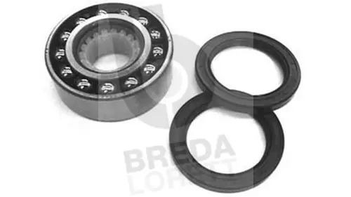 Wheel Bearing Kit (KRT2120)