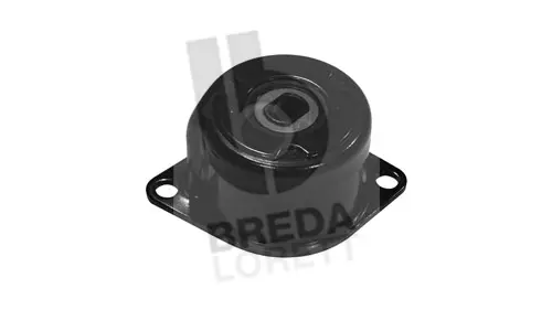 Tensioner Lever, V-ribbed belt (TOA4011)