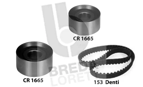 Timing Belt Kit (KCD0089)