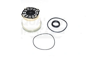 Fuel Filter (1725552)