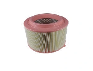 Air Filter (1720719)