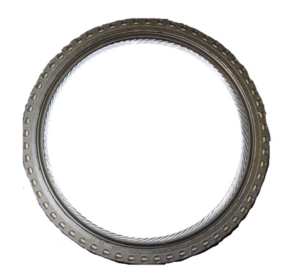 Shaft Seal, crankshaft (4621939AB)