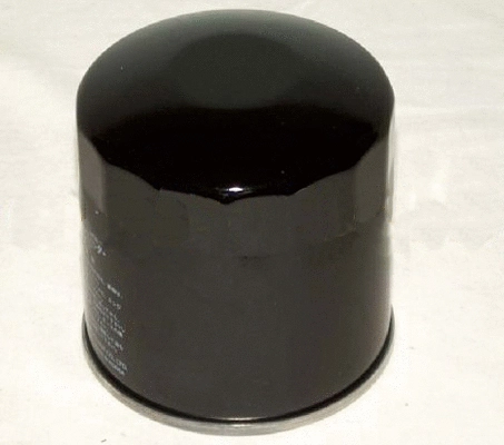 Oil Filter (5281090)