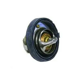 Thermostat, coolant (53010552AA)