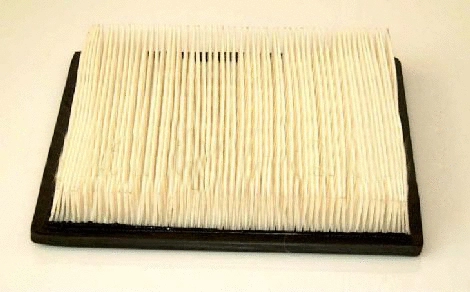 Air Filter (4861480)
