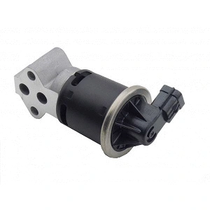 EGR Valve (25182357G)