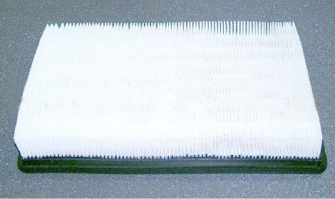 Air Filter (5019002)