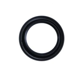 Shaft Seal, camshaft (4777086)
