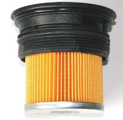 Fuel Filter (5179011)