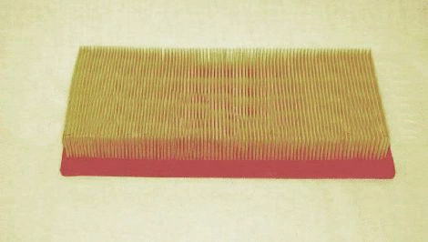 Air Filter (4213583)