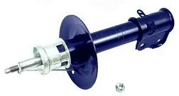 Shock Absorber (4656449)