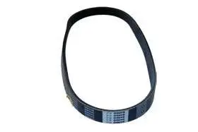 V-Ribbed Belt (4723345)
