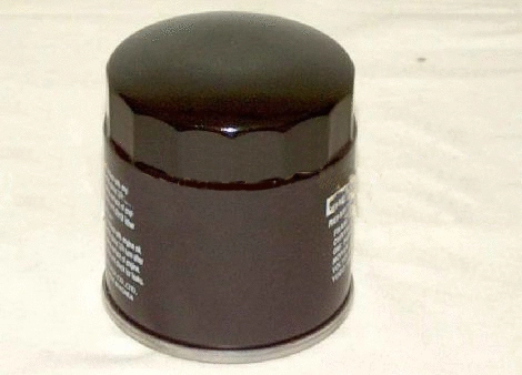 Oil Filter (4105409)