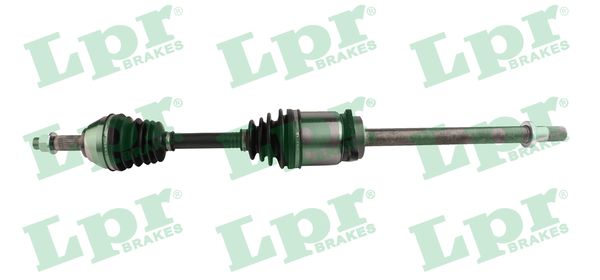 Drive Shaft (DS61213)
