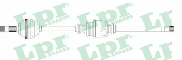 Drive Shaft (DS20100)