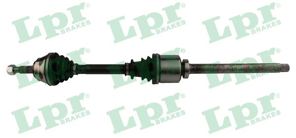 Drive Shaft (DS61204)