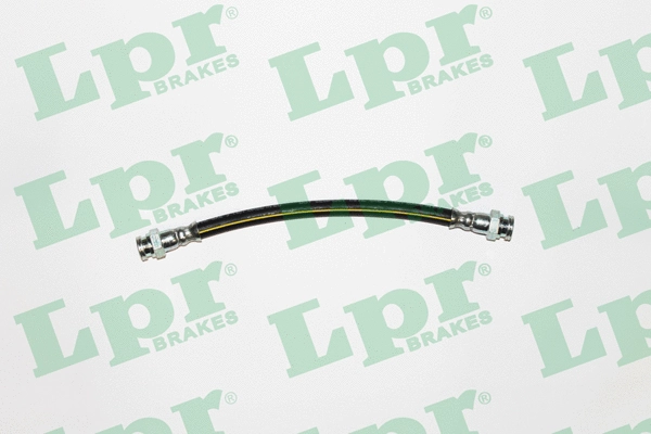 Brake Hose (6T46060)