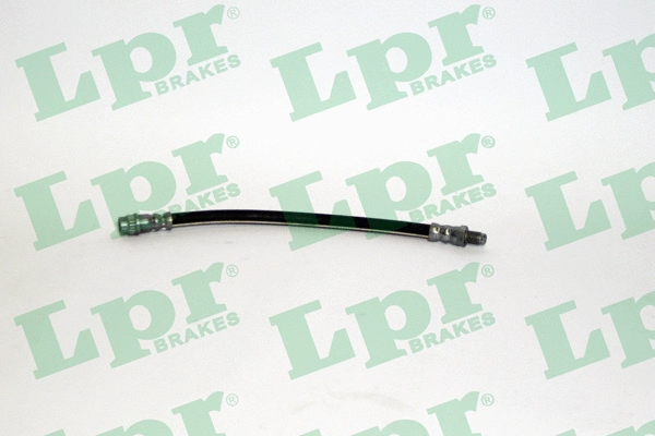 Brake Hose (6T47980)