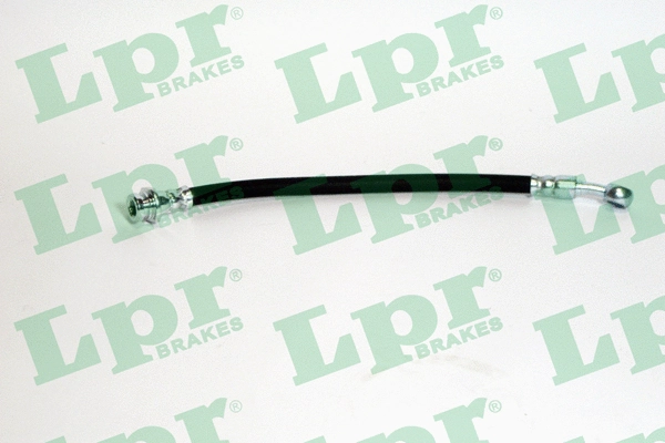 Brake Hose (6T46841)