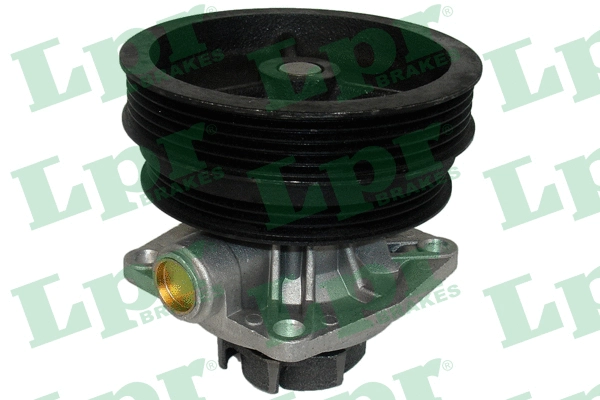 Water Pump, engine cooling (WP0042)