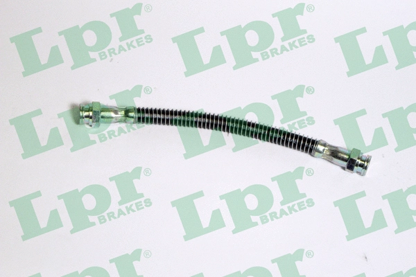 Brake Hose (6T46029)